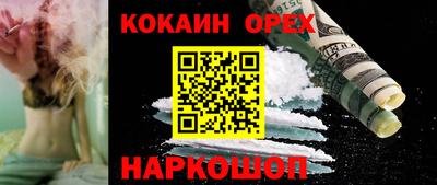 гидра Братск