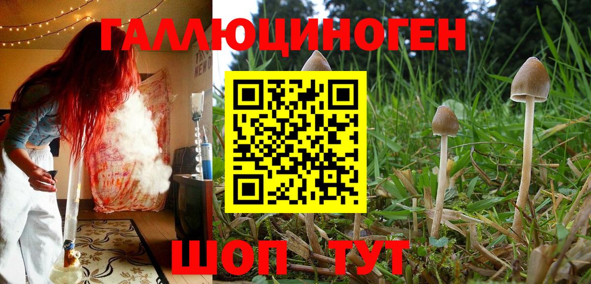 Ржев  Галлюциногенные грибы мухоморы  Вход с VPN  Галлюциногенные грибы Cubensis 